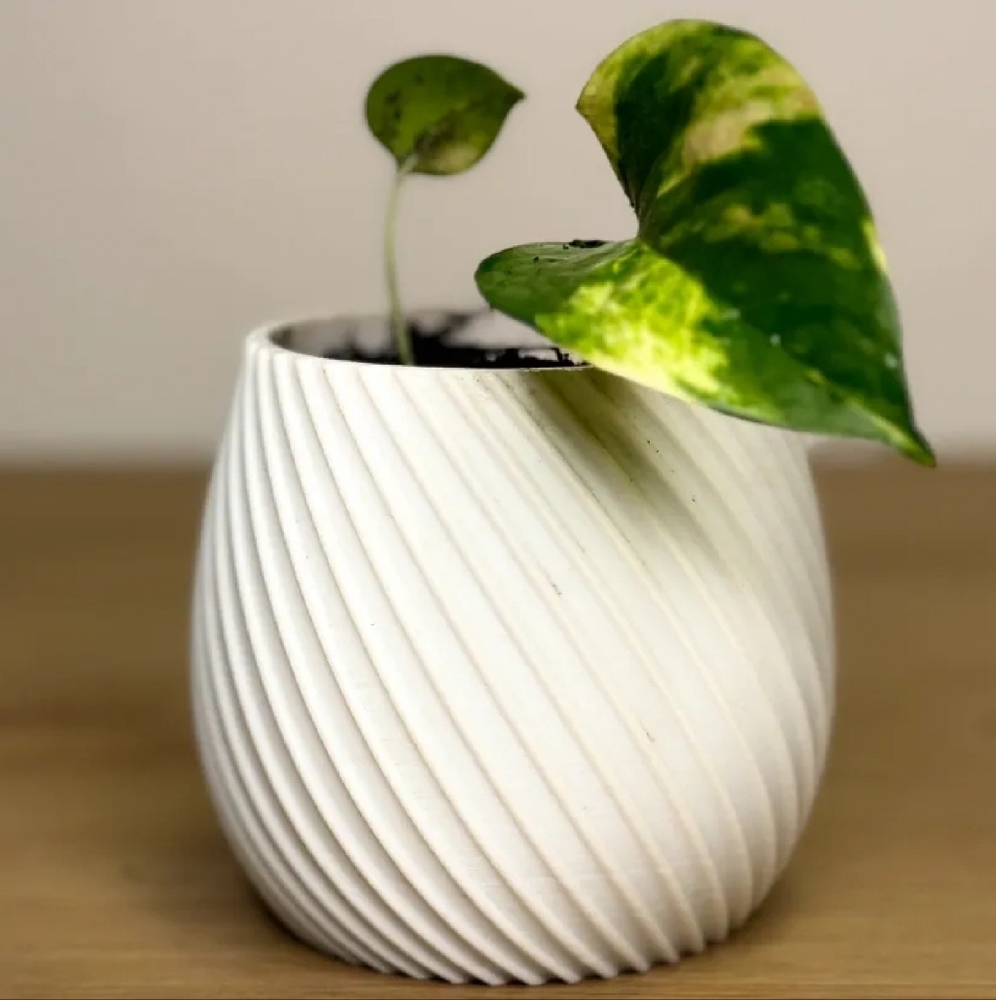 Spiral flower pot
